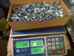 ເບິ່ງໂຮງງານ